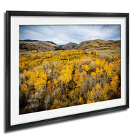 a picturesque landscape with a vibrant field of yellow trees in the foreground, surrounded by rolling hills and mountains in the distance under a blue sky with wispy clouds.