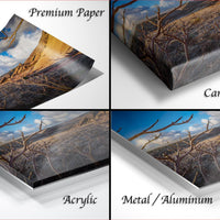 The image is a collage of four different images, each depicting a landscape with a desert or mountain background. The images are labeled as "Premium Paper", "Canvas Wrap", "Acrylic", and "Metal/Aluminum".
