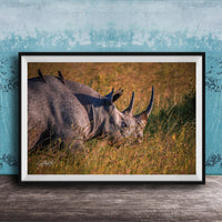 Black Rhino Wall Art – Artist Signed Print | Rustic Earth Tone Poster Decor