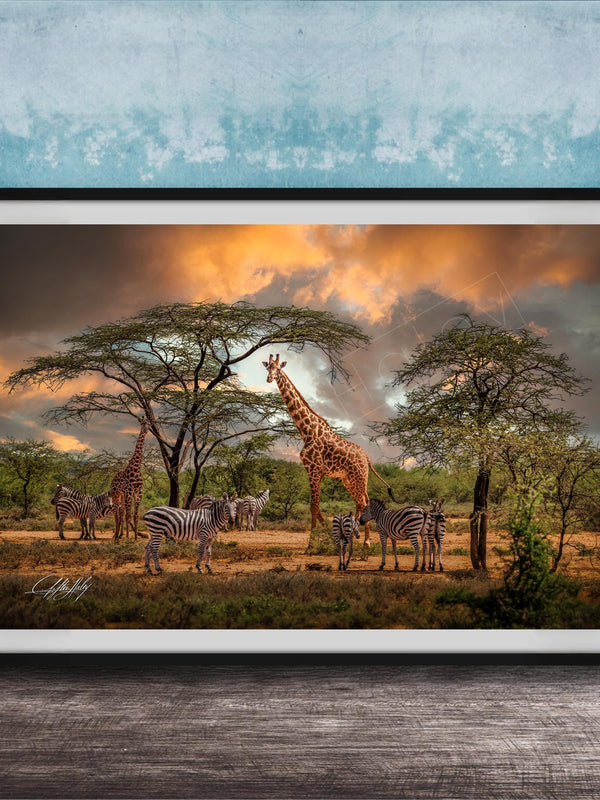 A framed photograph depicting a group of giraffes and zebras in a savanna landscape, with a dramatic sky in the background.