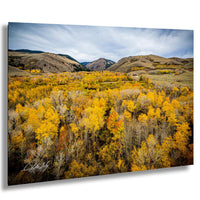 a picturesque landscape with a valley filled with trees displaying a mix of yellow and orange foliage, surrounded by rolling hills and mountains in the distance.