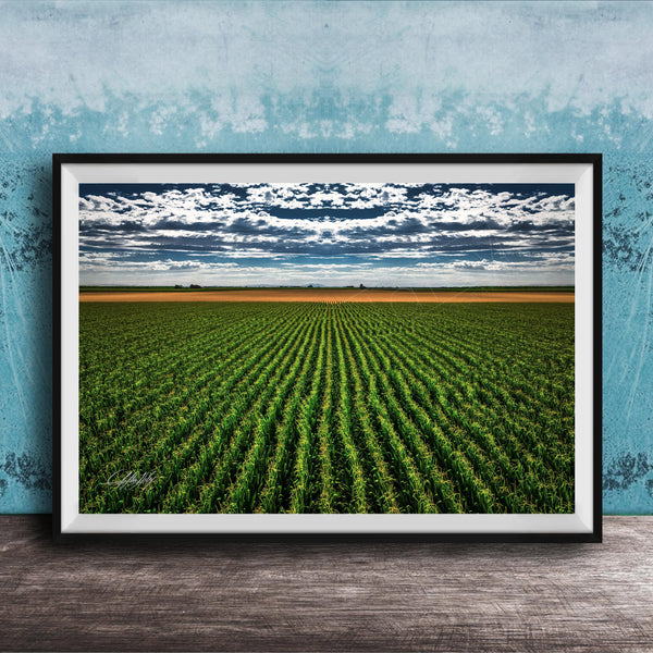 A framed photograph of a vast, lush green field with rows of crops stretching out into the distance, set against a cloudy sky.