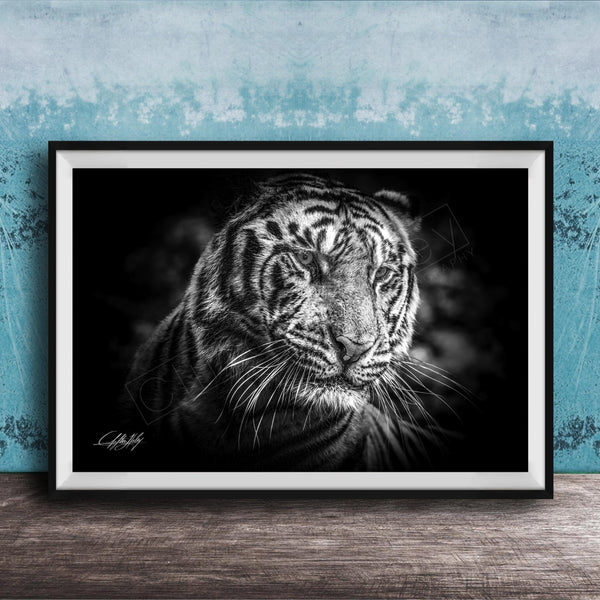 Tiger Wall Art, Sumatran Jungle Tiger Print | Boho Tropical Decor