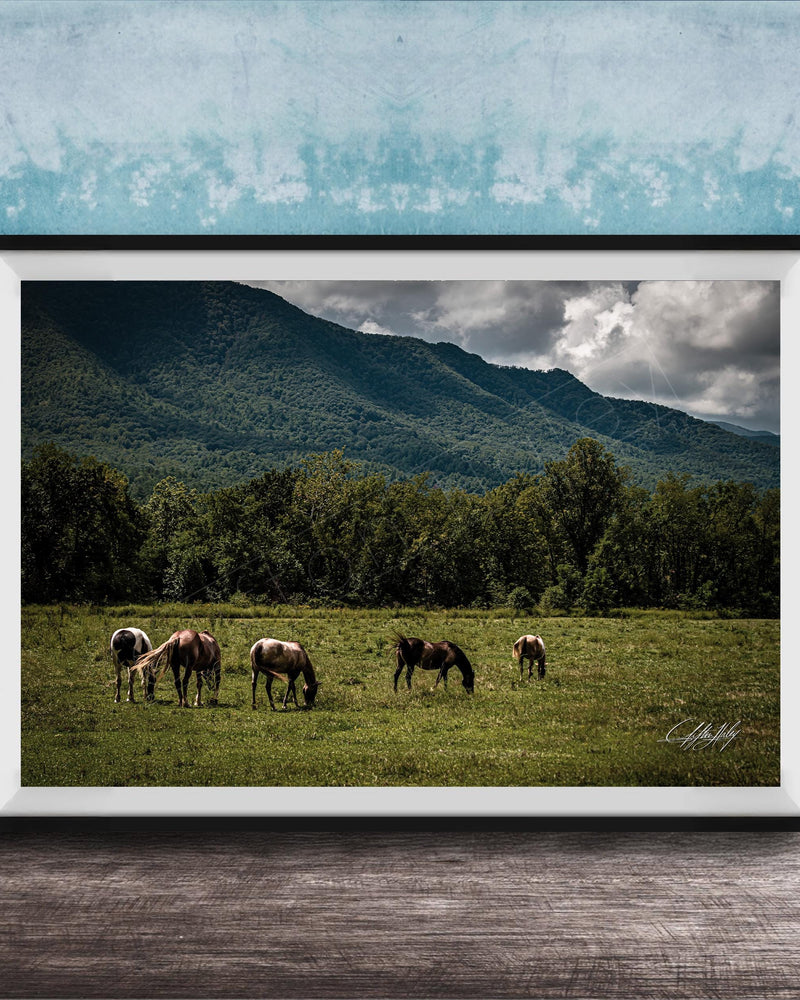 A framed photograph depicting a group of horses grazing in a grassy field with mountains in the background.