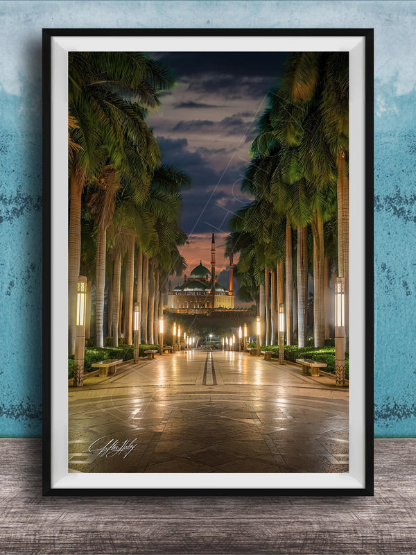 A framed photograph depicting a serene nighttime scene of a palm-lined walkway leading towards a building with a dome, illuminated by warm lighting.