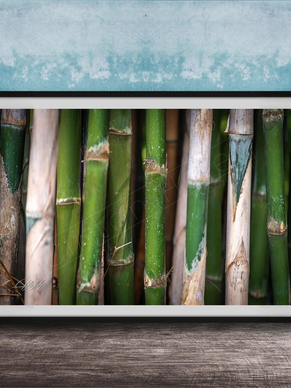 A framed photograph of a close-up view of green bamboo stalks against a blue background.