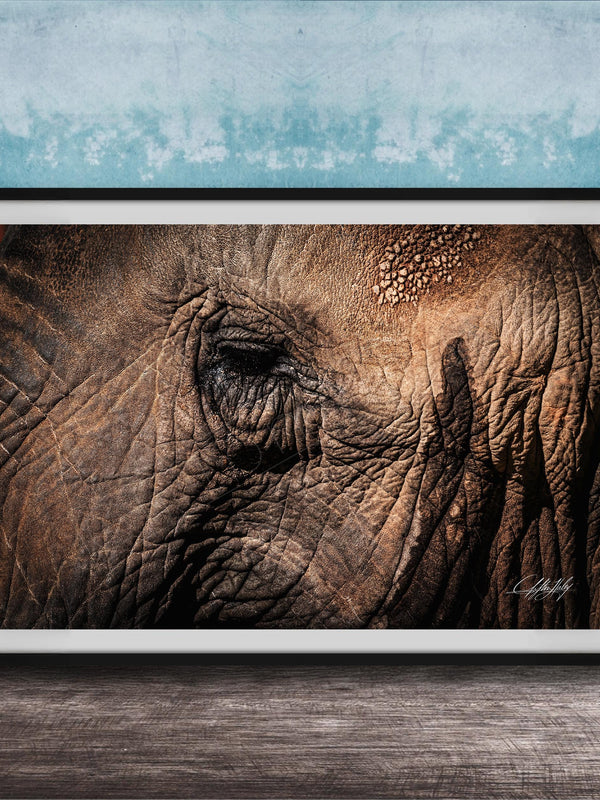 A framed photograph of an elephant's eye is displayed on a wooden surface against a blue textured wall.