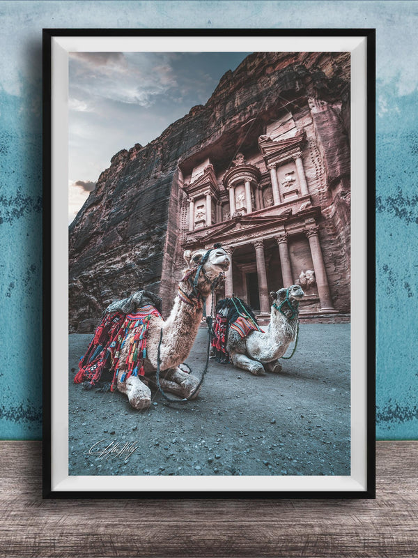 A framed photograph of two camels in front of a large, ancient building with a carved facade, set against a blue wall.