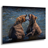 Two brown bears playfully interacting in a body of water, with one bear appearing to bark or yell at the other.