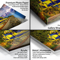 The image is a collage of four different printed materials, including a premium photo paper, a loose paper print, a gallery-wrapped canvas, and an acrylic print. Each material has a distinct appearance and quality, with the premium photo paper being clear and professionally printed, the loose paper print being a more rustic and handmade look, the gallery-wrapped canvas being a smooth and clean finish, and the acrylic print being a clear and sharp image.