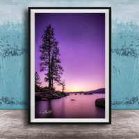 A framed photograph of a serene landscape at sunset, featuring a silhouetted tree against a vibrant purple and orange sky, with calm water in the foreground.