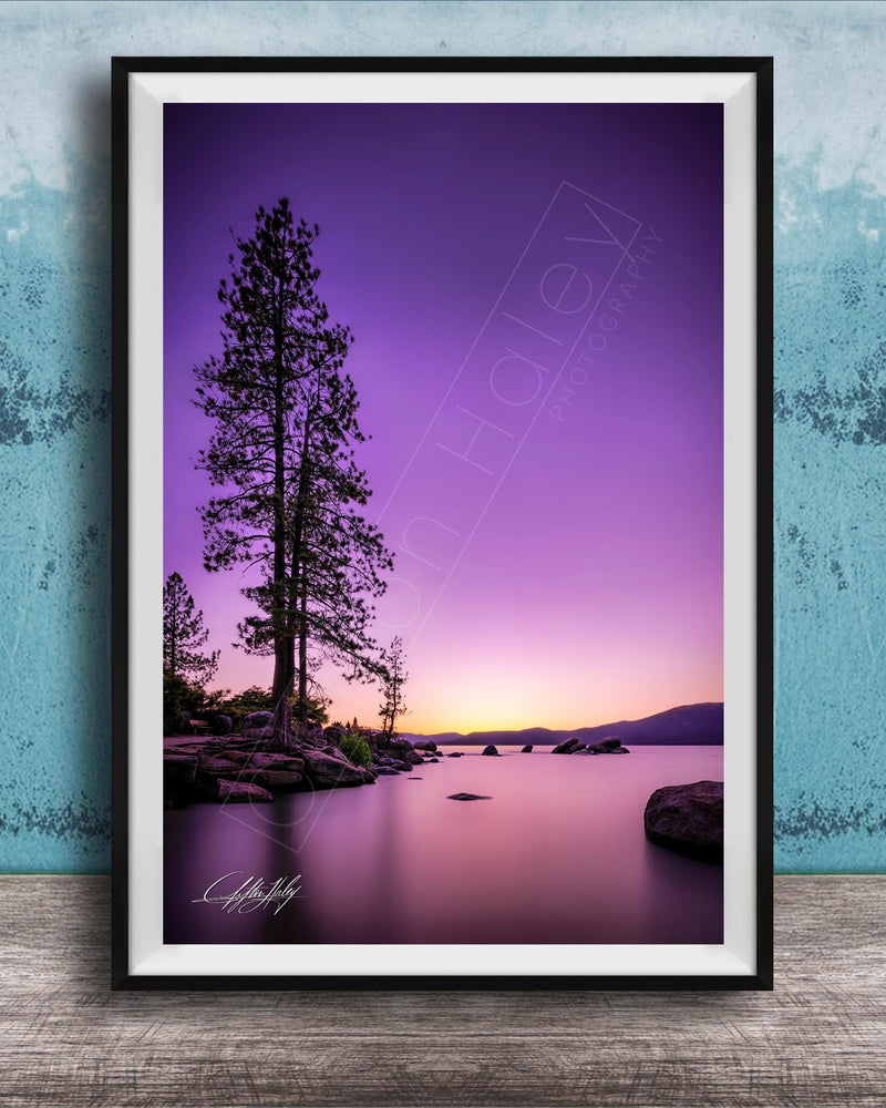 A framed photograph of a serene landscape at sunset, featuring a silhouetted tree against a vibrant purple and orange sky, with calm water in the foreground.