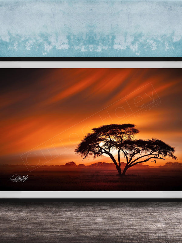 A framed photograph depicting a lone tree silhouetted against a vibrant sunset sky.