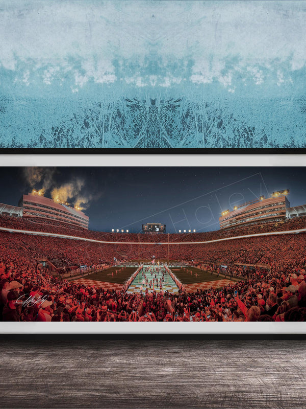 A framed photograph of a crowded sports stadium at night, with the stands filled with spectators and the field illuminated by bright lights.