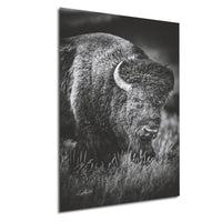 A black and white photograph of a bison standing in tall grass.