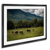 A group of horses grazing in a lush green field, with a mountainous landscape in the background.