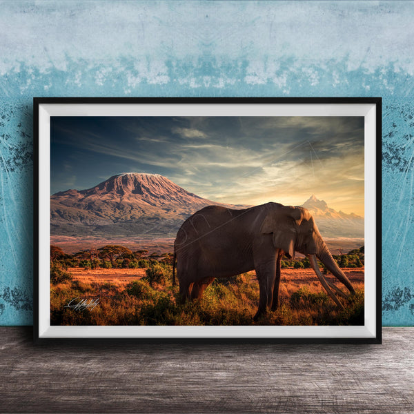 A framed photograph of an elephant standing in a grassy field with a mountain in the background, under a cloudy sky.