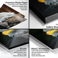The image is a collage of four photos featuring a close-up of an eagle's head, with each photo showcasing different aspects of the bird's features and the surrounding environment.