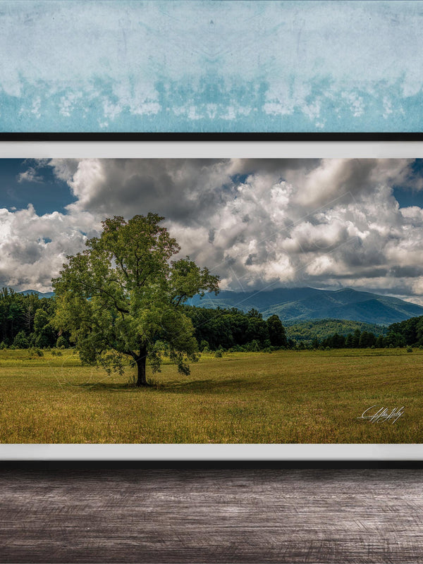 A framed photograph of a large tree in a grassy field, with mountains visible in the background under a cloudy sky.