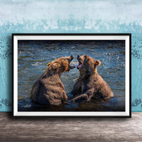 Two brown bears playfully interacting in a body of water, with one bear appearing to bark or yell at the other.