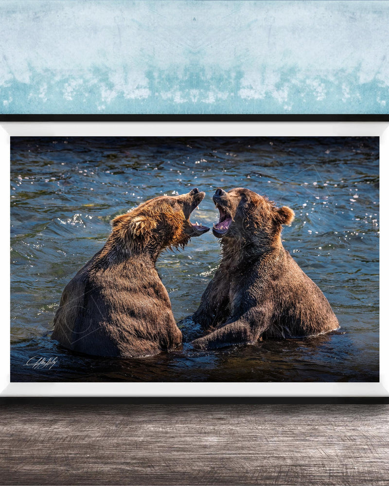 Two brown bears playfully interacting in a body of water, with one bear appearing to bark or yell at the other.