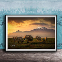 A group of elephants grazing in a grassy field with a majestic mountain range in the background, set against a dramatic sky with orange and yellow hues.