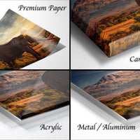The image is a collage of four different images, each depicting a landscape scene with a large elephant in the foreground. The images are labeled as "Premium Paper", "Canvas Wrap", "Acrylic", and "Metal/Aluminum".