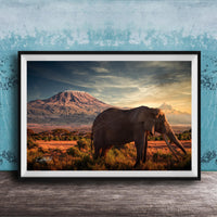 A framed photograph of an elephant standing in a grassy field with a mountain in the background, under a cloudy sky.