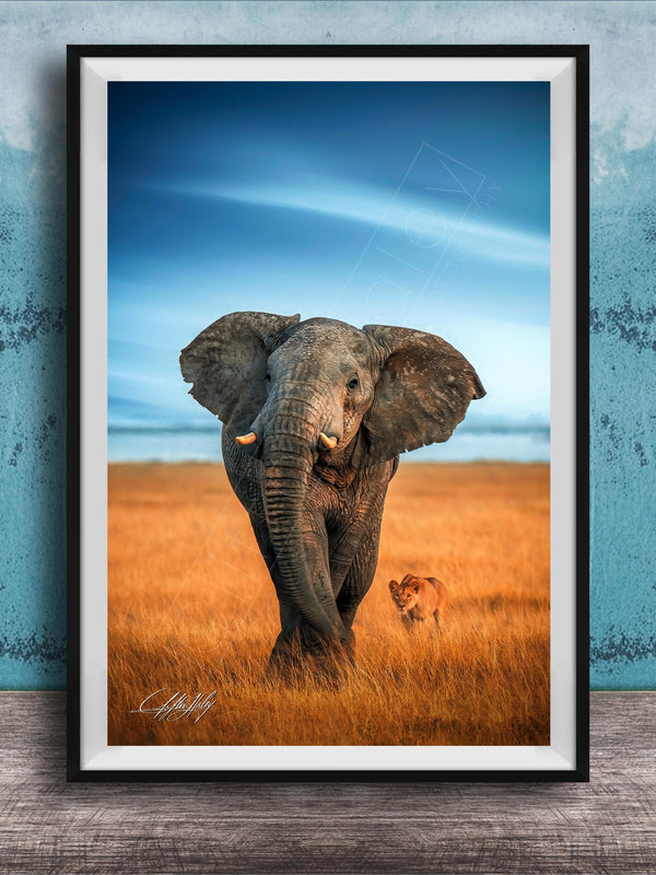 A majestic elephant stands in a golden field, its large ears flapping gently in the breeze, with a lion standing nearby.