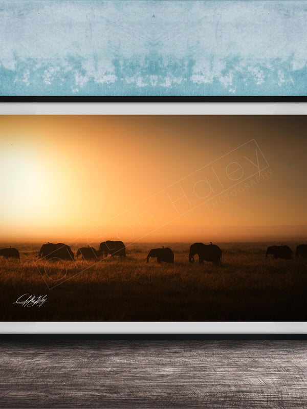 A framed photograph depicting a herd of elephants grazing in a field during a sunset.