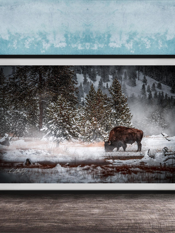 Bison Wall Art – Yellowstone Canvas Print | Authentic Wildlife Artwork