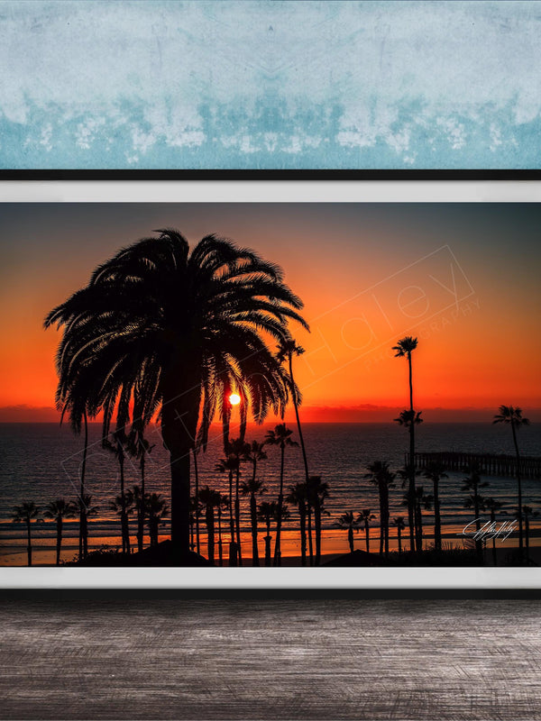 A framed photograph depicting a palm tree silhouetted against a vibrant sunset over the ocean.