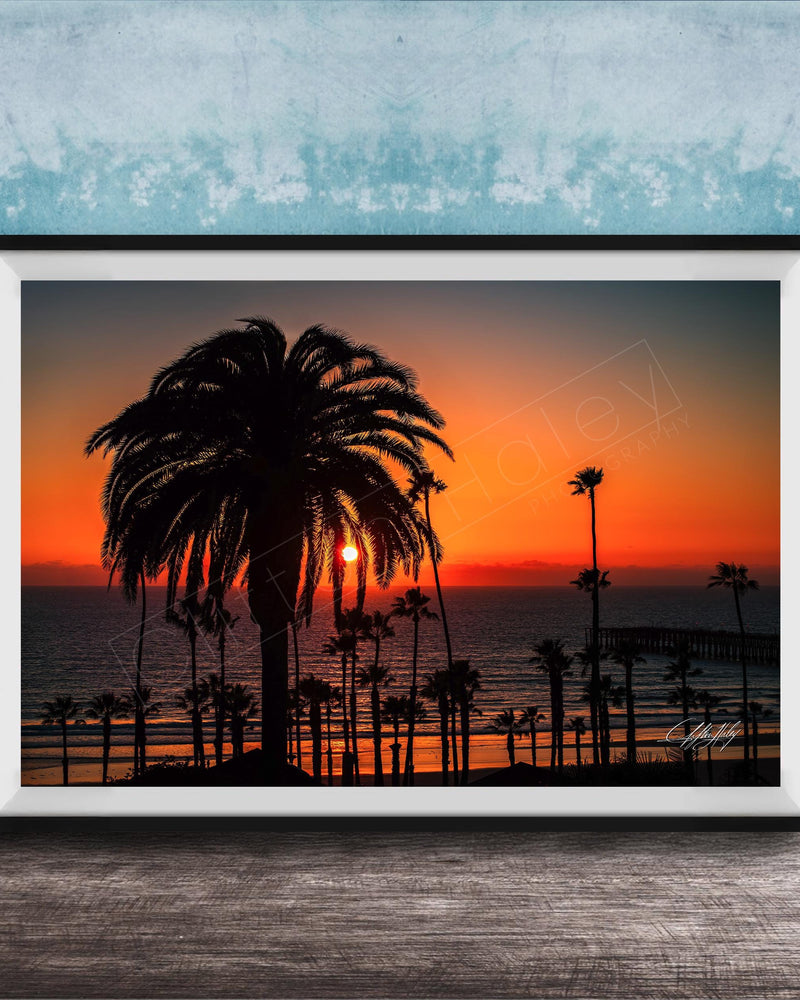 A framed photograph depicting a palm tree silhouetted against a vibrant sunset over the ocean.