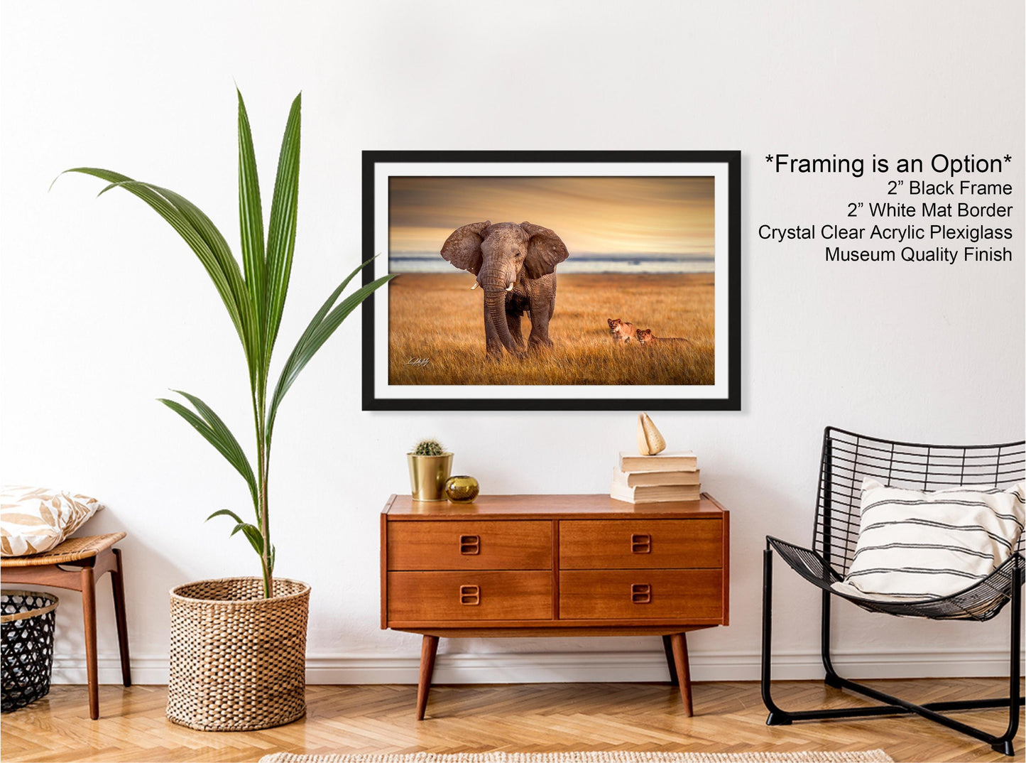 wildlife photography, Amboseli sunrise, elephant vs lions, Kenya safari, Maasai culture, African wildlife, big tusker, safari adventure