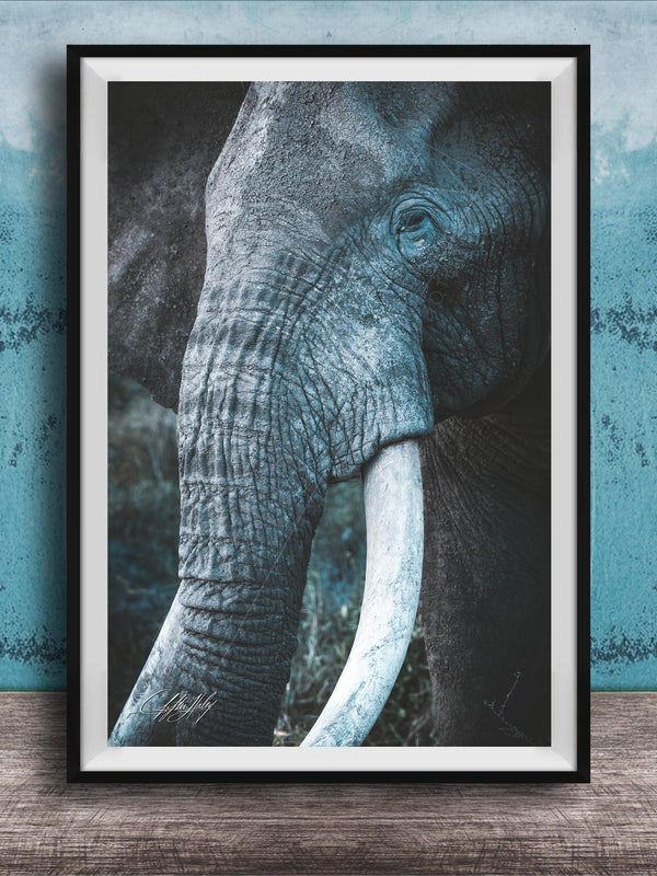 A framed photograph of a majestic elephant, its large white tusks and wrinkled gray skin prominently displayed against a blue and white textured background.
