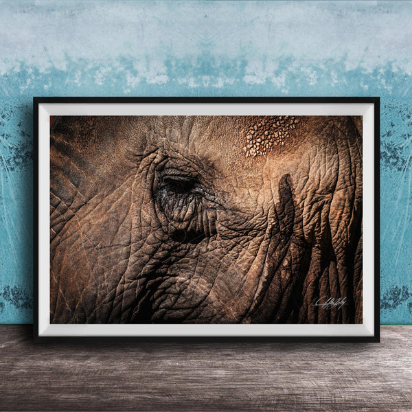 A framed photograph of an elephant's eye is displayed on a wooden surface against a blue textured wall.