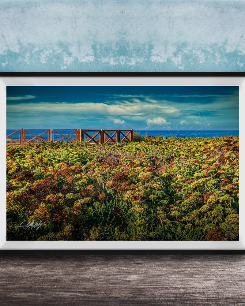 A framed photograph depicting a field of colorful flowers with a wooden walkway leading to a blue sky and ocean in the background.