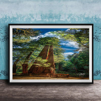 A framed photograph depicting a serene forest scene with towering trees, a wooden walkway, and a blue sky with clouds.
