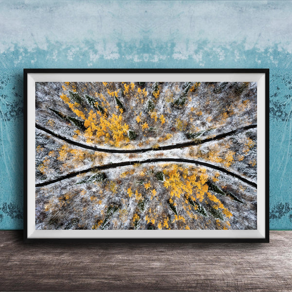 The image is a framed aerial photograph of a snowy forest with yellow and green foliage.