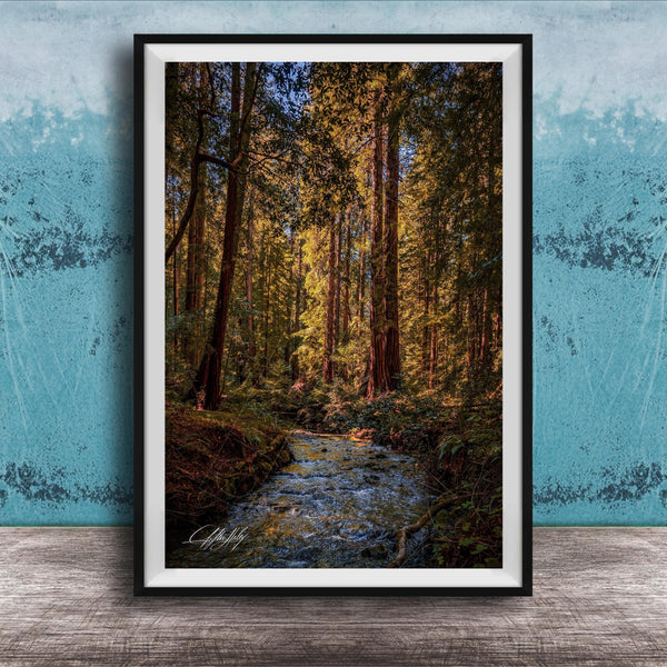 A framed photograph of a serene forest scene with a small stream flowing through it, surrounded by tall trees with vibrant green leaves.