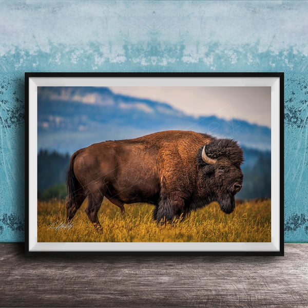 Western Bison Canvas Print – Rustic Buffalo Wall Decor with Bison Fur Texture Detail