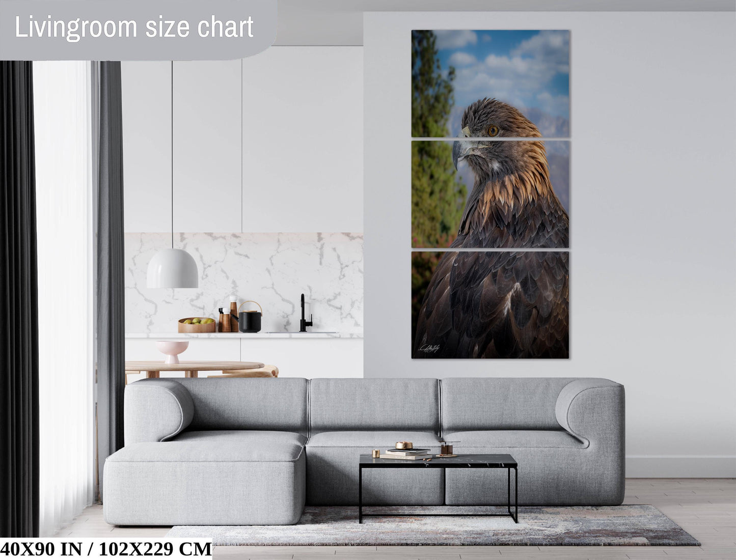 Red-Tail Hawk Photo - Soaring Hawk Print | Wildlife Wall Decor Art