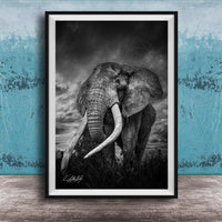 A majestic elephant stands tall in a grassy field, its large tusks and trunk prominently displayed against a dramatic cloudy sky.