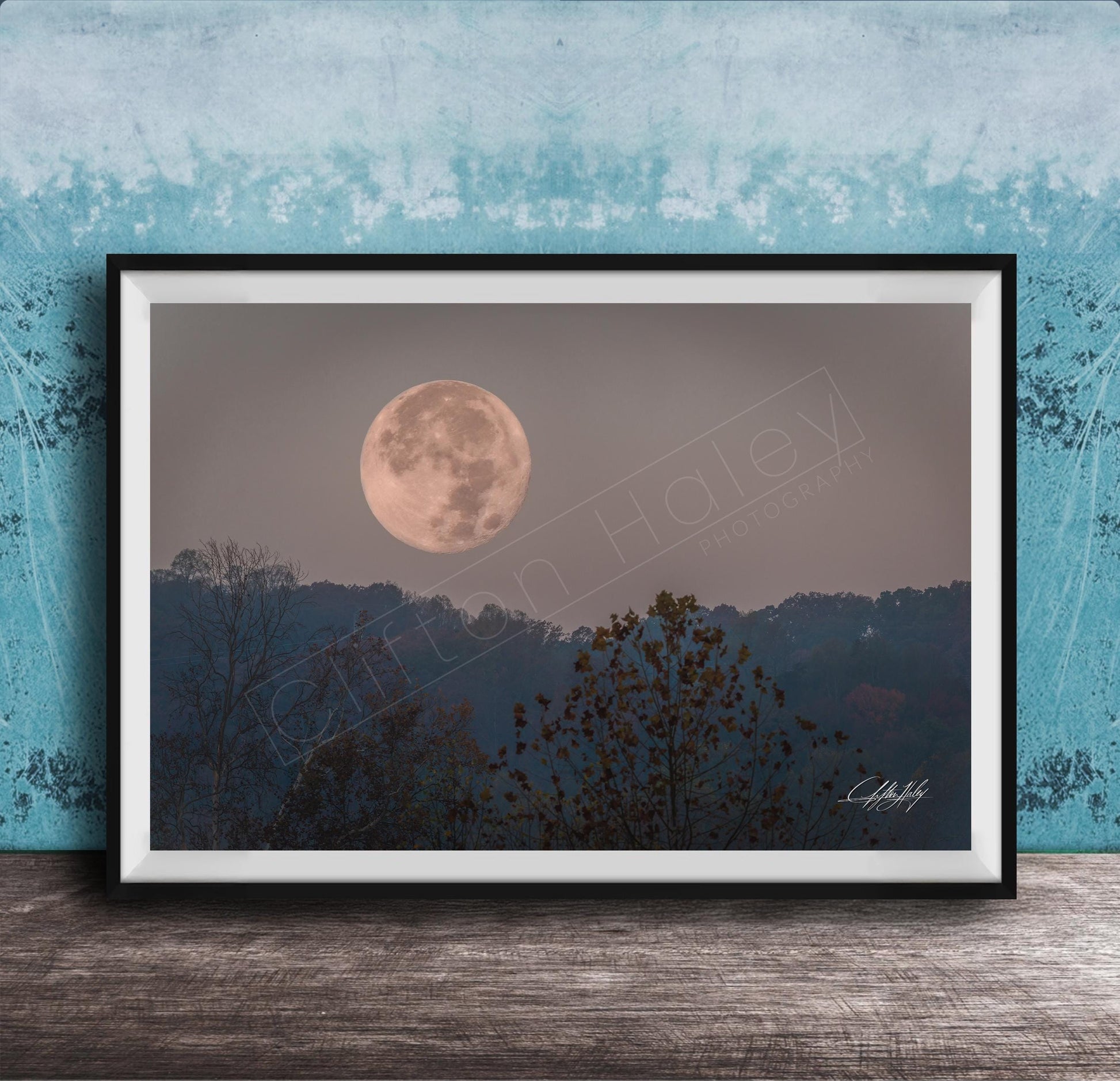 A framed photograph of a large, full moon in the night sky, with silhouetted trees and a blue sky in the background.