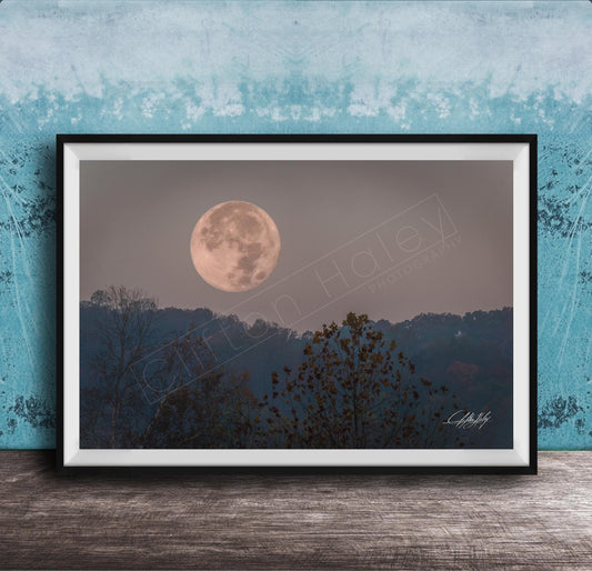 A framed photograph of a large, full moon in the night sky, with silhouetted trees and a blue sky in the background.