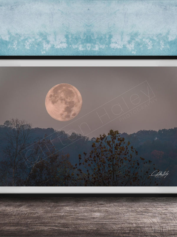 A framed photograph of a large, full moon in the night sky, with silhouetted trees and a blue sky in the background.