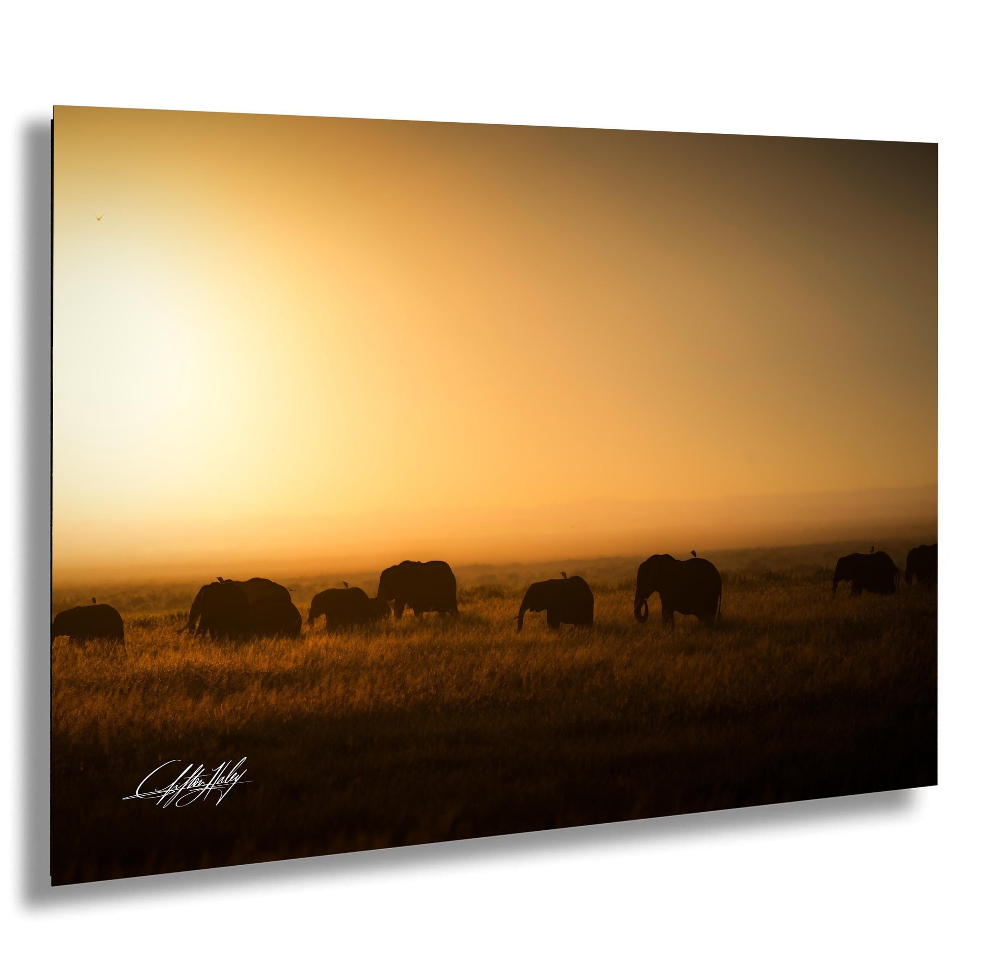 Kenya elephant safari, African sunset photography, wildlife photography Kenya, Maasai Mara elephants, elephant family portrait, African wildlife conservation, safari photography tips, best Kenya safaris, elephant mother and calf, sunset in Maasai Mara, Kenya nature photography, elephant herd migration, African savannah life