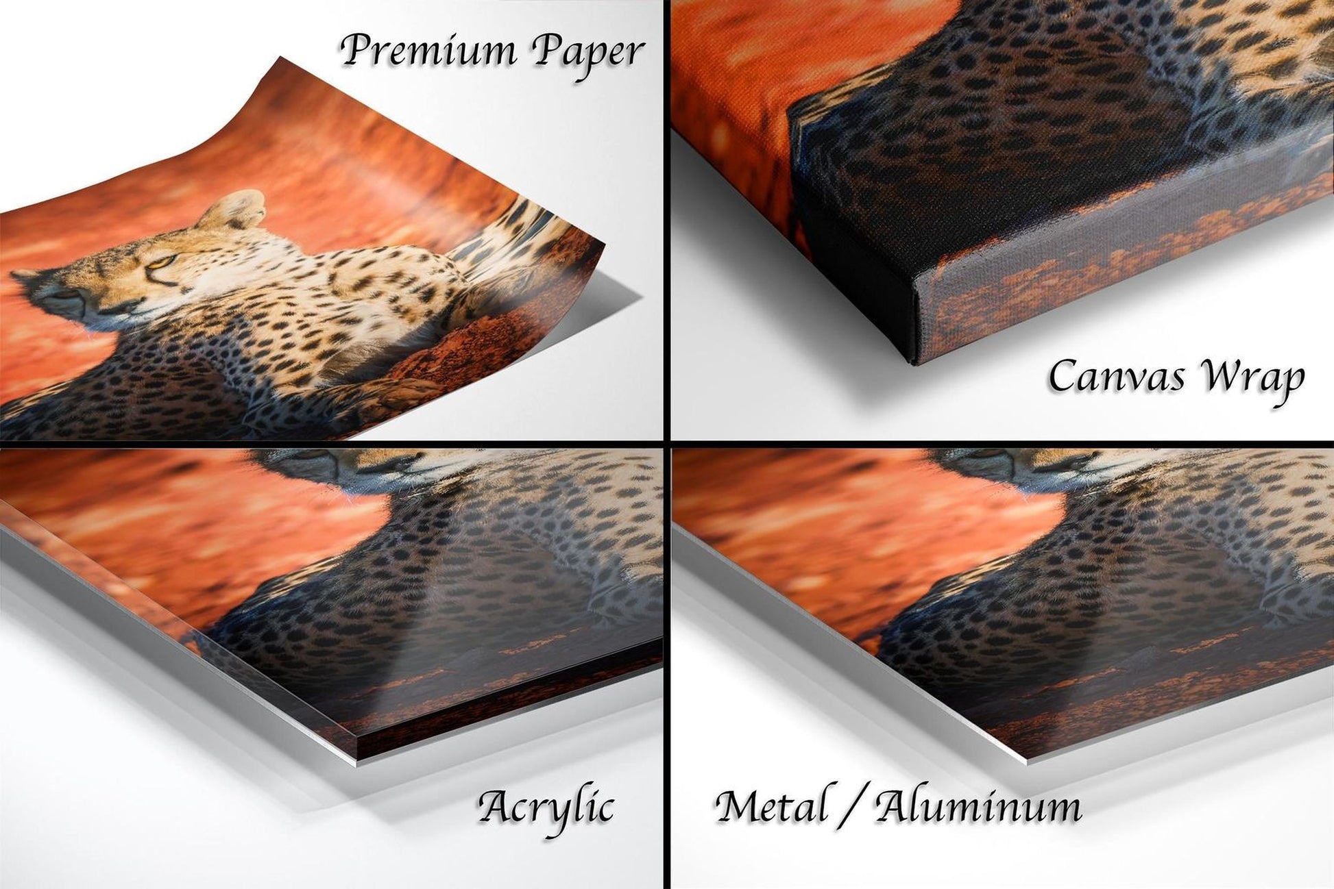 The image is a collage of four different views of a cheetah, showcasing the animal in various settings and angles.