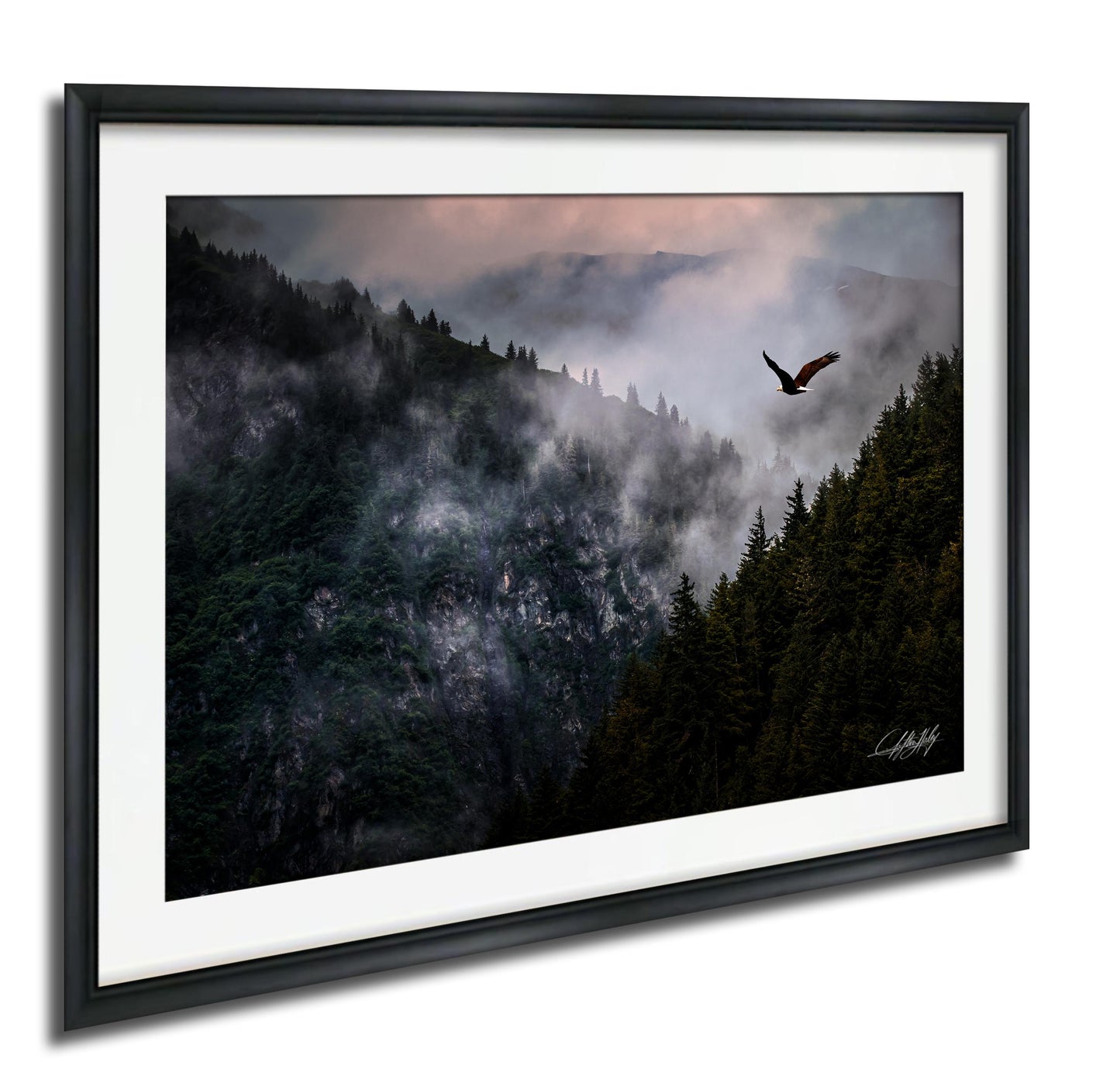 A framed photograph depicting a bird soaring over a misty mountain landscape with a forested area below.