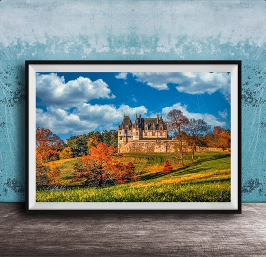 A framed photograph of a castle surrounded by a lush green hillside, with trees displaying autumn colors in the foreground.